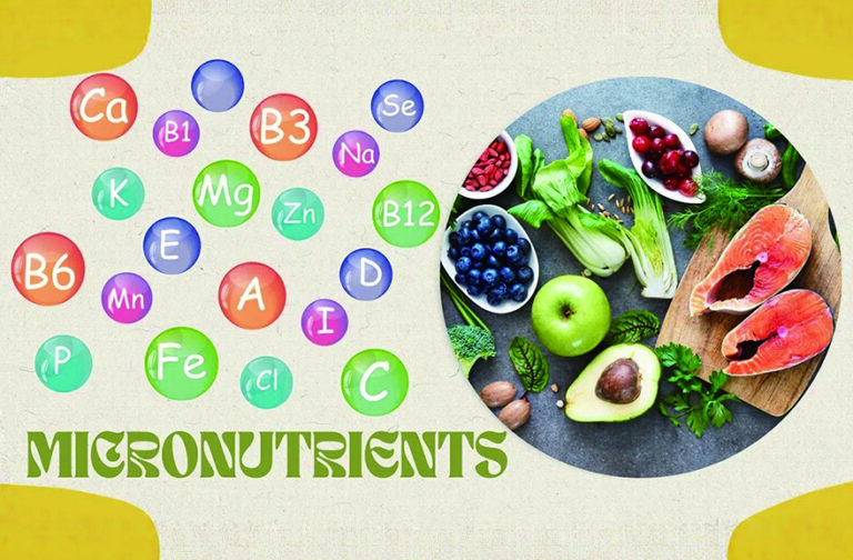 Micronutrient deficiencies: Europe’s invisible epidemic?