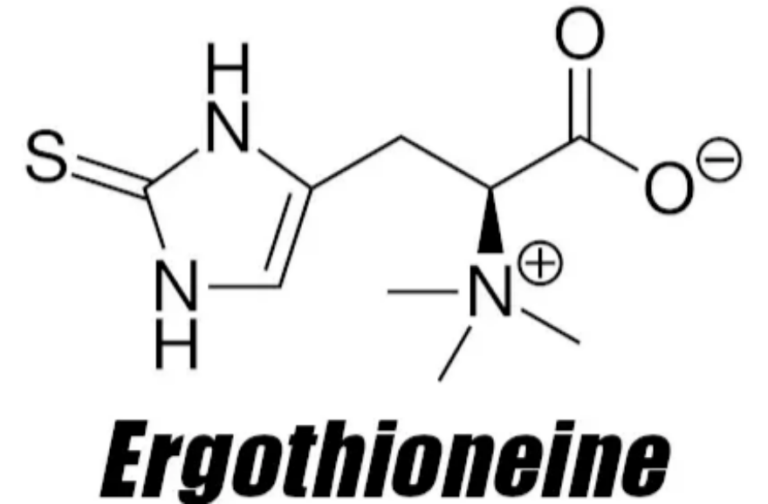 Ergothioneine: an underrecognised dietary micronutrient required for healthy ageing?
